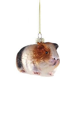 Cody Foster Guina Pig Ornament